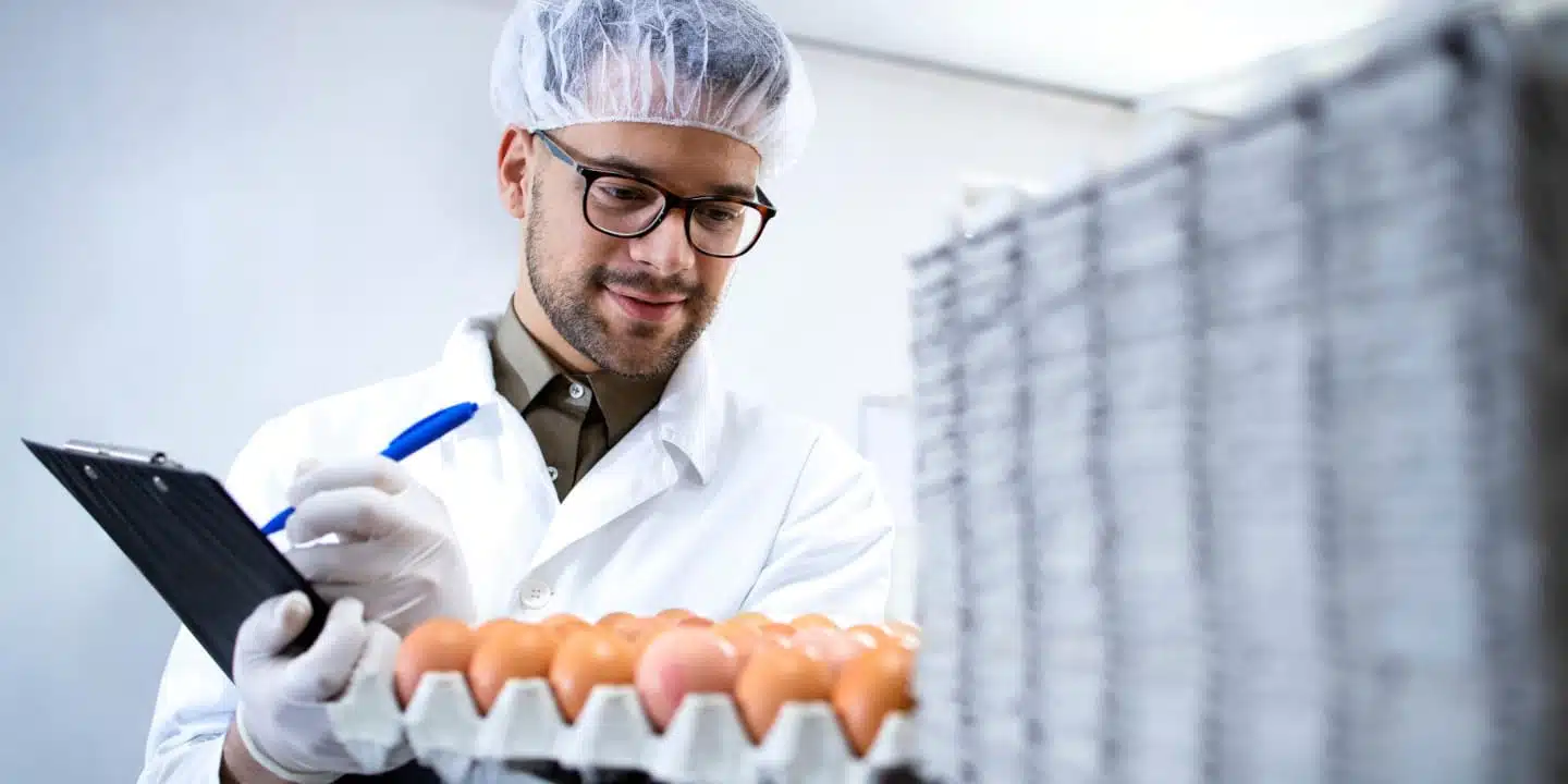 Food factory technologist controlling eggs production at the food processing plant.