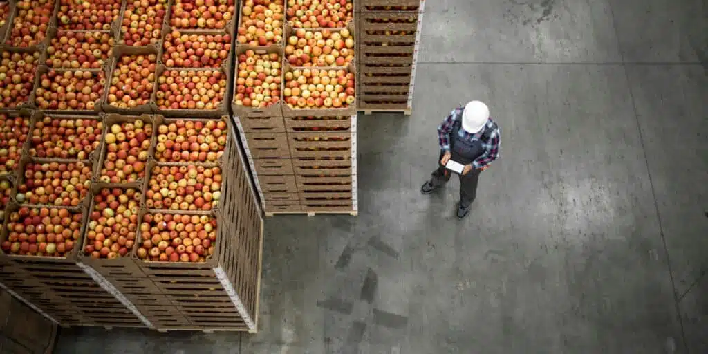 Overhead view of a person in a hard hat inspecting large stacks of apple crates in a warehouse, highlighting efficient food & beverage PLM processes.