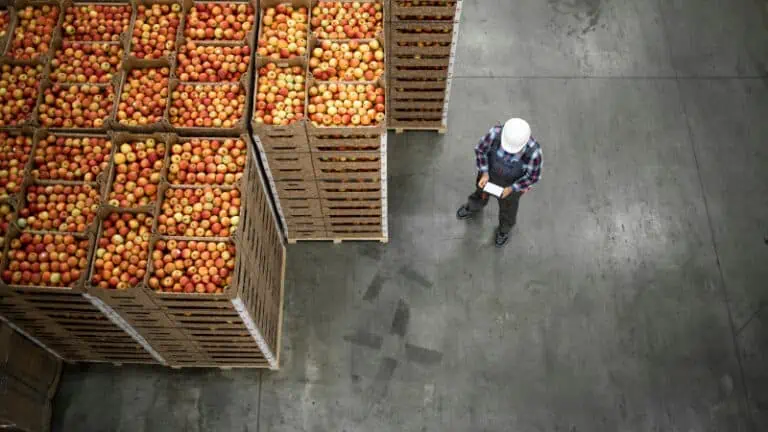 Apples in crates in warehouse