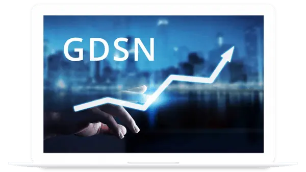 GDSN workshop