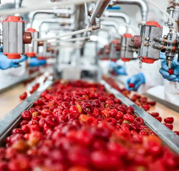 In a factory bustling with precision, workers clad in protective clothing and gloves diligently sort cherries on a conveyor belt, ensuring that only the finest make it through to prevent any trace of food fraud.