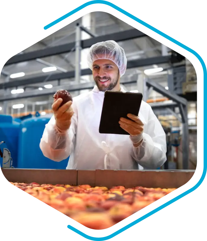 Man QA apples in an assembly line