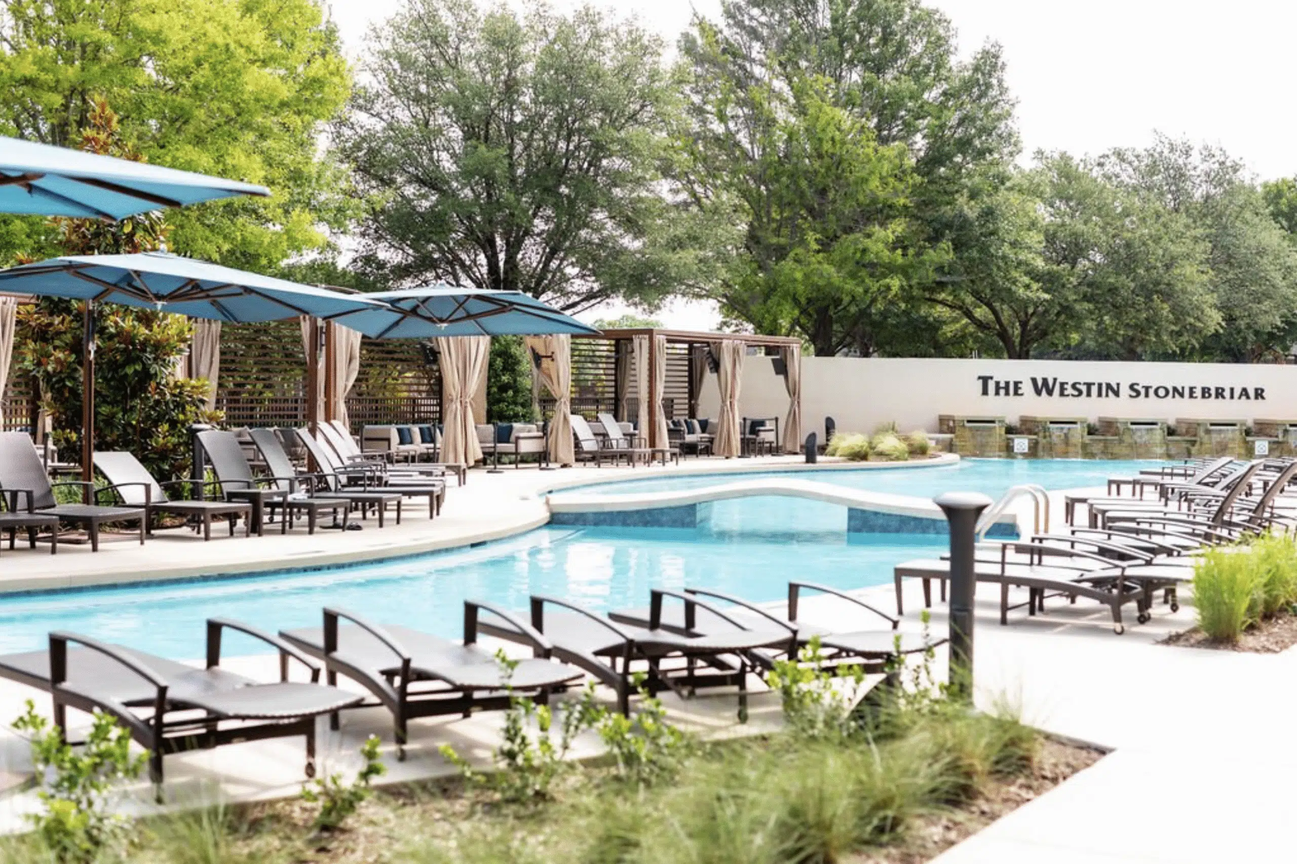 Outdoor pool area at The Westin Stonebriar, featuring lounge chairs, shaded cabanas, umbrellas, and lush greenery—an inviting retreat for relaxing after a productive day at the Customer Insights Forum.